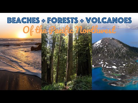 We Drove Through a Tree-Pacific Northwest Adventure