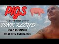 Pigs, Pink Floyd - Reaction and Rating