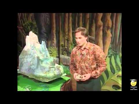 Evolution of the human eye