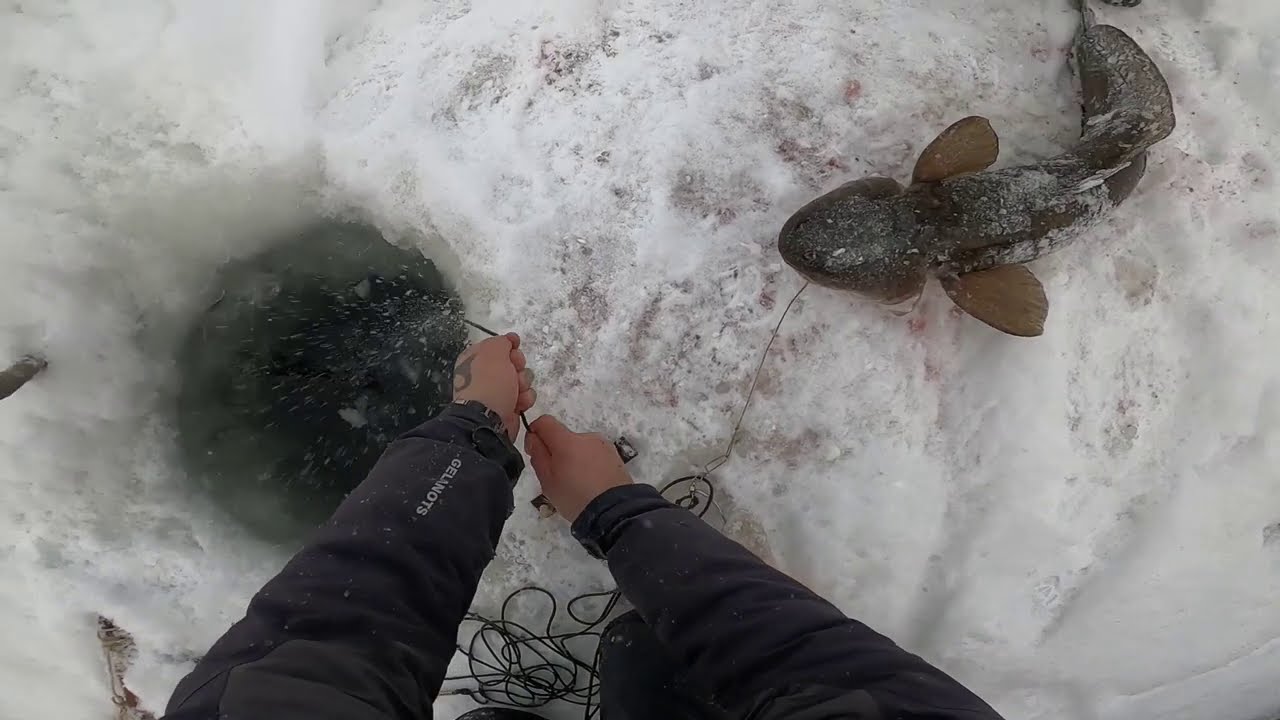 Рыбалка на налима перед Рождеством. 06.01.2021 #52 Туруханский район