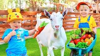 Download lagu Oliver, Diana dan Roma di Kebun Binatang   More Vlogs mp3