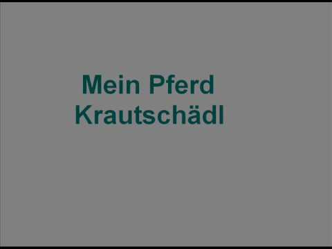 Krautschädl - Mein pferd
