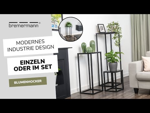 Blumenhocker: Elegante Präsentation für deine Zimmerpflanzen und Deko-Ideen | bremermann