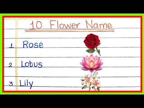 10 Flowers Name in English | Flowers Name | Flowers Name in Englsih | phoolon ke naam | Flower Name