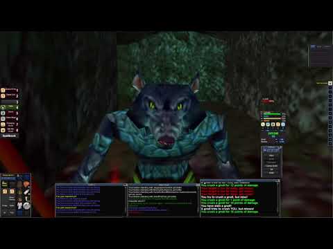Druid in Classic Everquest. Life in the Warrens