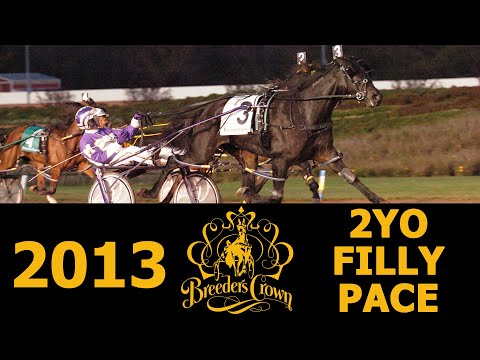 2013 Breeders Crown - Ufizi Hanover - 2FP