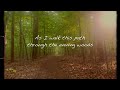 Path Through The Evening Woods   By Carrie Newcomer