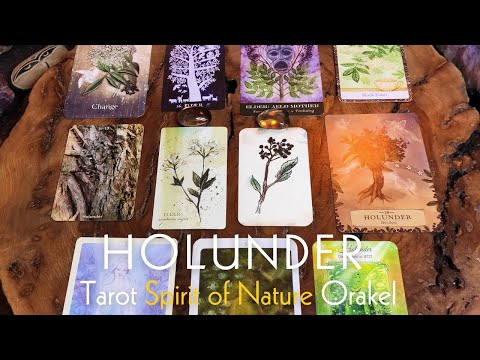 KEIN Orakel 💚 HOLUNDER🍀 Heiliger Schutzbaum 💚Natur Kräuter Pflanzen Bäume Blüten