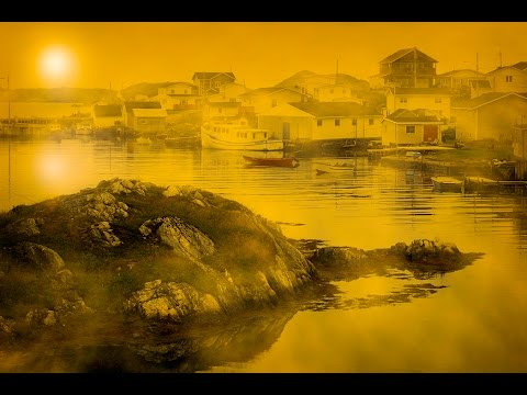 PHOTOGRAPHY TIPS AND TRICKS - How To Shoot Into The Sun