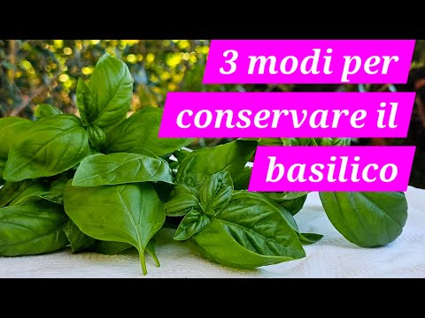 3 modi per conservare il basilico @Rosariarinaldi_speedychef