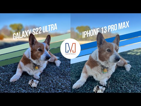 Samsung Galaxy S22 Ultra vs iPhone 13 Pro Max: Camera Shootout