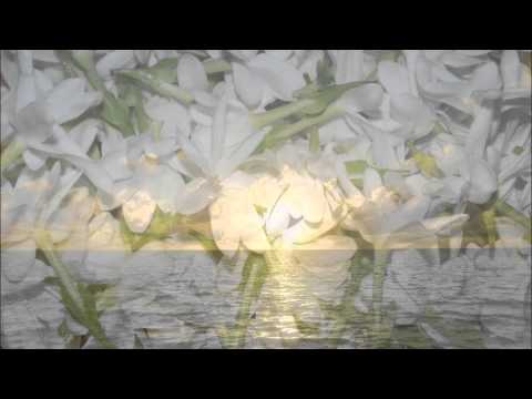 Pee ke ofa mooni mai koa