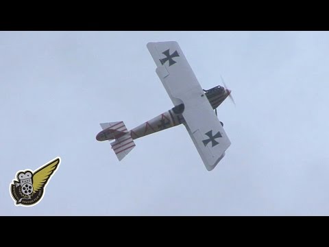 Pfalz D.III 1917 WW1 German fighter