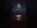 Moonlit night 🌙🌕 #shorts #moon #nightnature #naturelovers