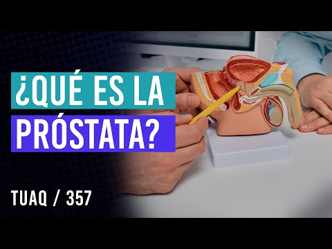 ¿Qué es la próstata?