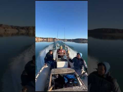 PESCA EN EL DIQUE AMEGHINO ASI COMIENZA TODO..!!#pesca #dique #chubut #truchas #amigos #trolling