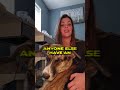 Lap Dogs