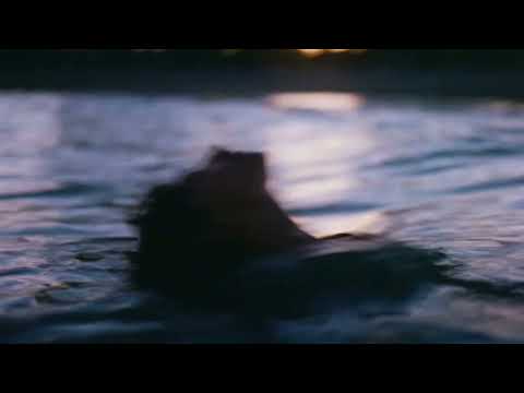 Despierto - Andrea Bejar, Diàgo [Field Collective Remix]