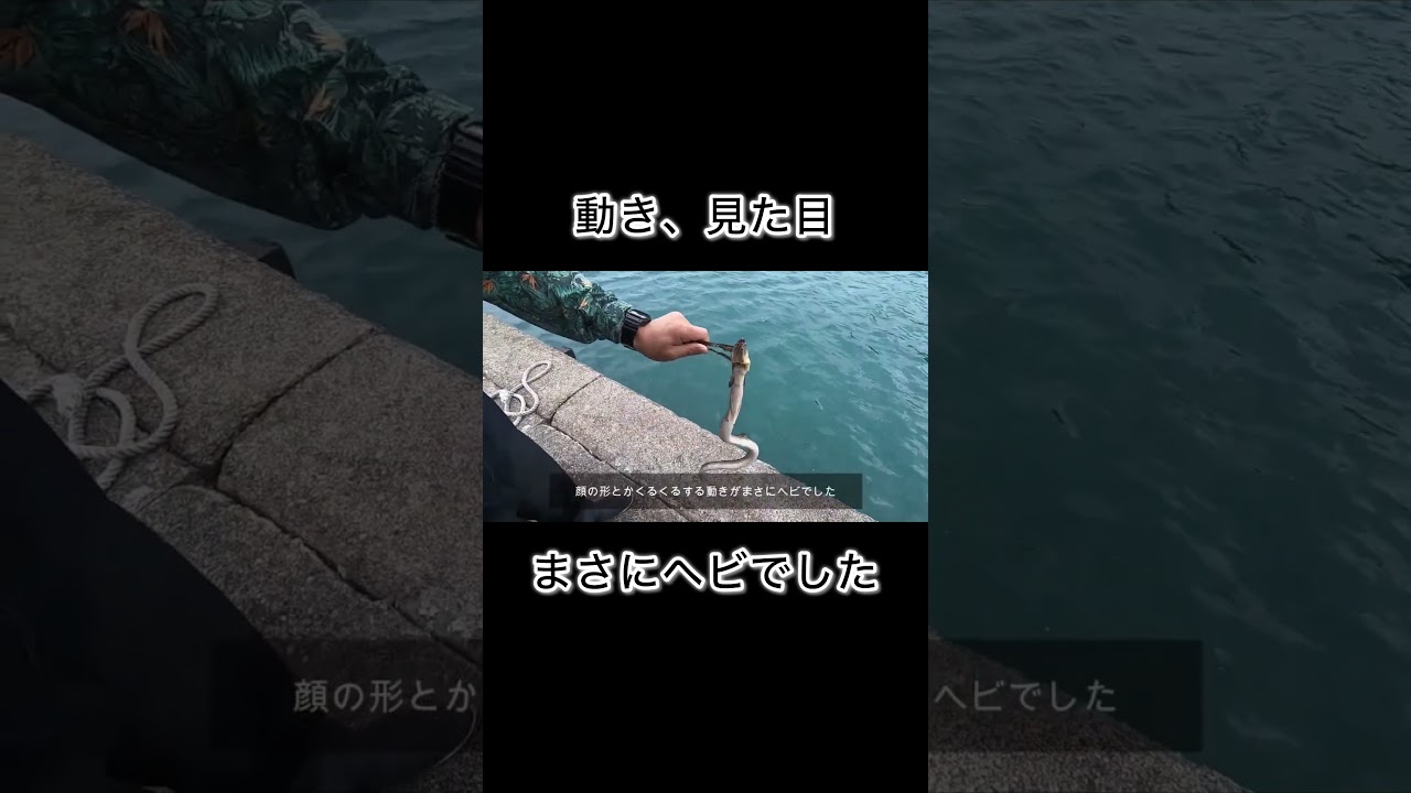 冬の海でまさかの連発劇！衝撃の魚も...  #shorts