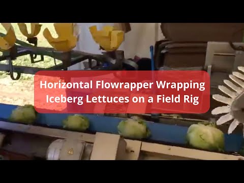 Iceberg lettuce on-rig packaging