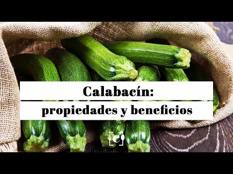 , title : 'Calabacín: propiedades, beneficios y valor nutricional'