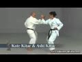 Shoryn Ryu Karate Kyudokan Mazato Higa