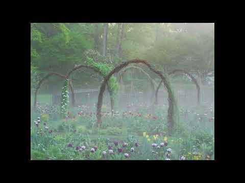 sold | cinematic × ambient × experimental type beat "soulful" @neltq*