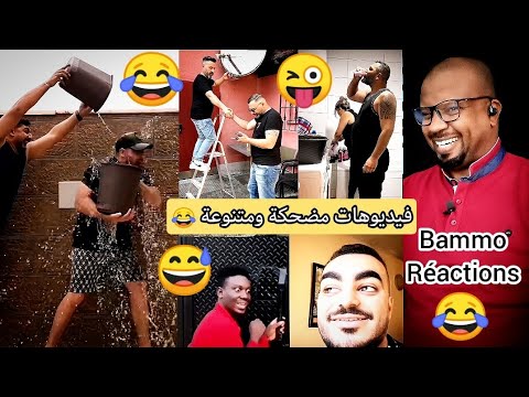 فيديوهات مضحكة ومتنوعة 😂 Bammo réactions