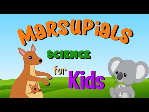 Marsupials | Science for Kids