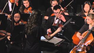 Concert Orchestra - 