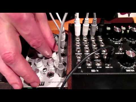 Acidlab M303 sequenced with a Moog M32