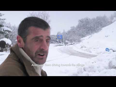 Il posto della neve cold case Numeber 2736/1980