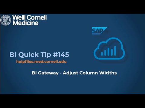 BI Quick Tip #145: How to adjust column widths in your BI Gateway Story