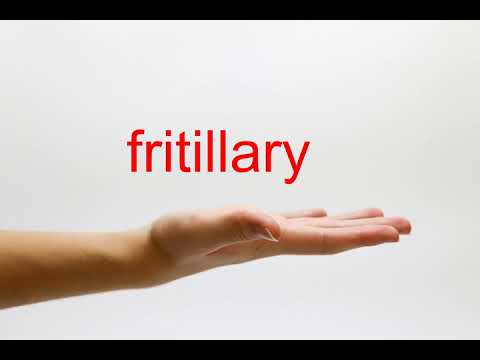 How to Pronounce fritillary - American English