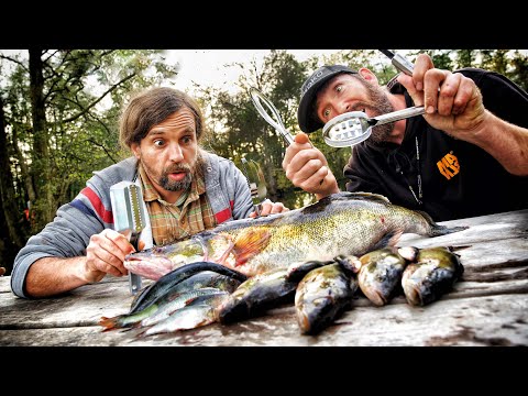 8h Catch & Cook Challenge: Zander, Barsch, Plötze? Was schmeckt am besten?