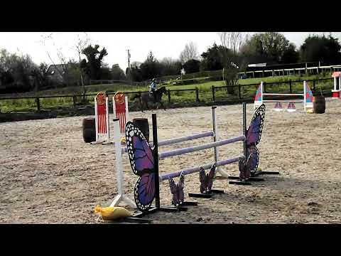 128 top track pony