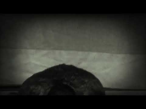 Scary Blobby (like and subscribe)