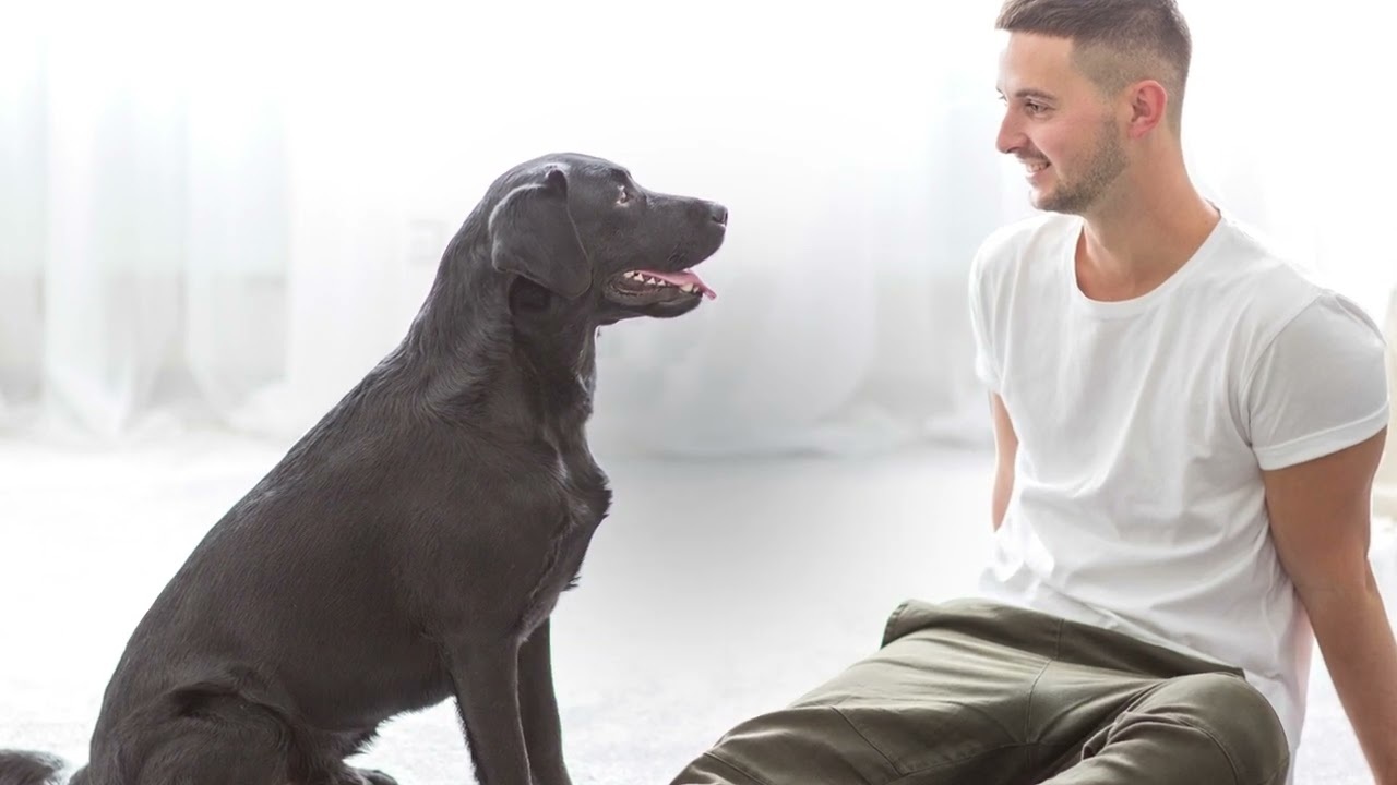 Venta Luftwäscher Humidifier LW25 White, 40 m² Venta Luftwäscher Humidifier LW25 White, 40 m²