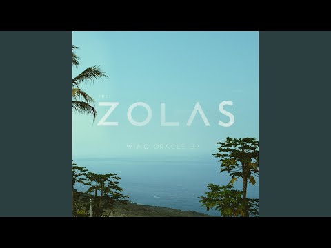 Fell In Love With New York - The Zolas
