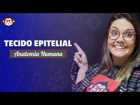 Anatomia Humana | Tecido Epitelial 🐵📚