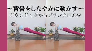 ～背骨をしなやかに動かす～　背骨ローリング　ダウンドッグからプランクフロー！