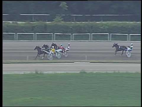 Trotto 11/06/2016 - Minitrotter