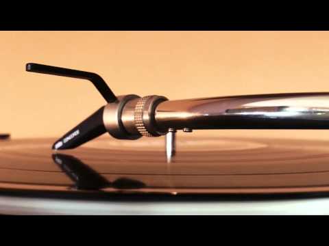 Megalodon & Conscious Pilot - Like This (Instrumental)