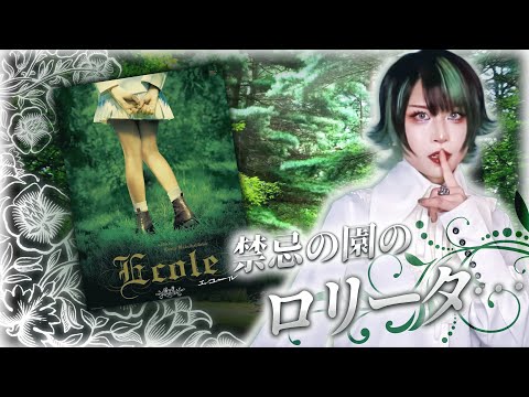 花のアンジェリカ ラズリー (マルカダウ バレー)