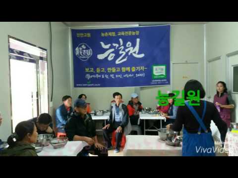 유기농블루베리쿠키만들기