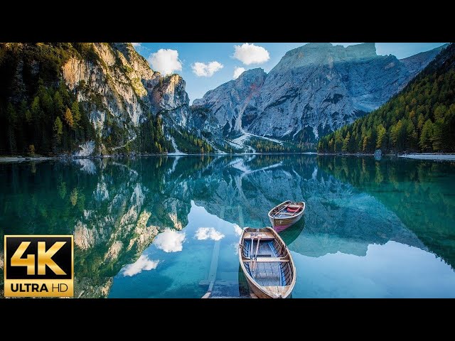 Vídeo relacionado con Ttincceer Telón de Fondo Misty Mountain 1.5x1.2m Primavera Bosque Lago Camino de Tierra Fotografía Fondo Paisaje Natural Tema de Viaje Fotografía Telón de Fondo Estudio Retrato Accesorios de Tiro