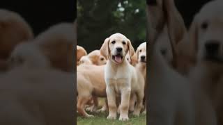 Download lagu December 27, 2025 mp3