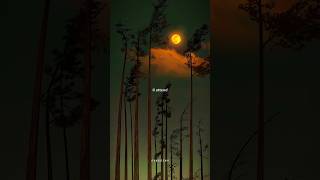 Download lagu Love story - Indila 🍁 | aesthetic lyrics 🦋... | whatsapp status | slowed | edit audio | #lyrics 🎶🥀✨💓 mp3