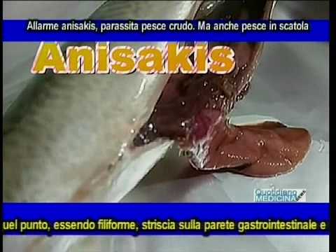 Medicina di basterfort per prezzo di parassiti Vermi helminths di un pinworm