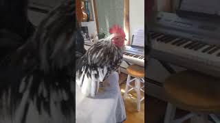 Junior Male #4